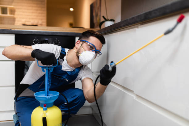 Best Exterminator Services  in Grace, ID