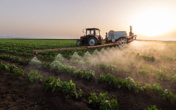 Best Pest Removal Services  in Grace, ID