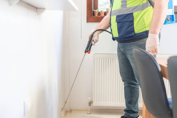 Best Flea Control Services  in Grace, ID