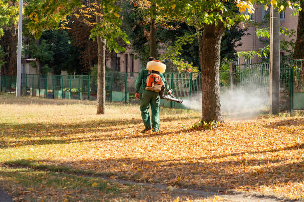 Best Mosquito Control Services  in Grace, ID