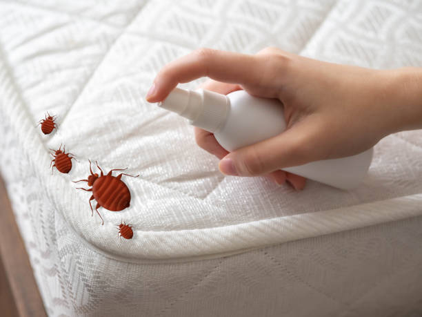 Best Residential Pest Control  in Grace, ID